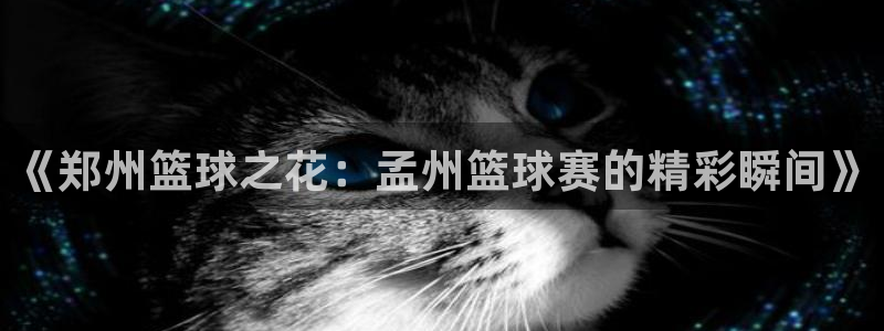 《郑州篮球之花：孟州篮球赛的精彩瞬间》