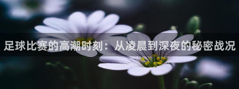  足球比赛的高潮时刻：从凌晨到深夜的秘密战况