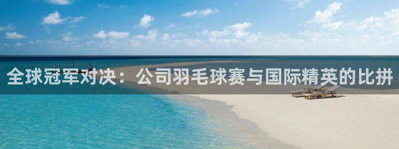 全球冠军对决：公司羽毛球赛与国际精英的比拼