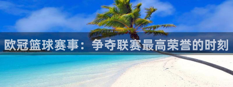 欧冠篮球赛事：争夺联赛最高荣誉的时刻