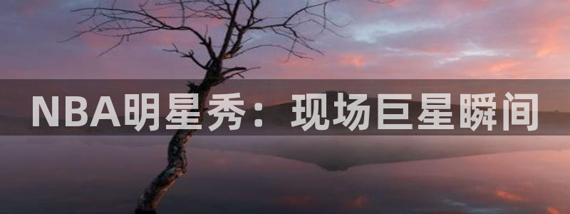 pg电子官方网站试玩：NBA明星秀：现场巨星瞬间