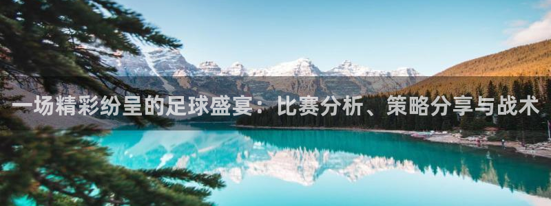  玩pg电子游戏哪个网站好：一场精彩纷呈的足球盛宴：比赛分析、